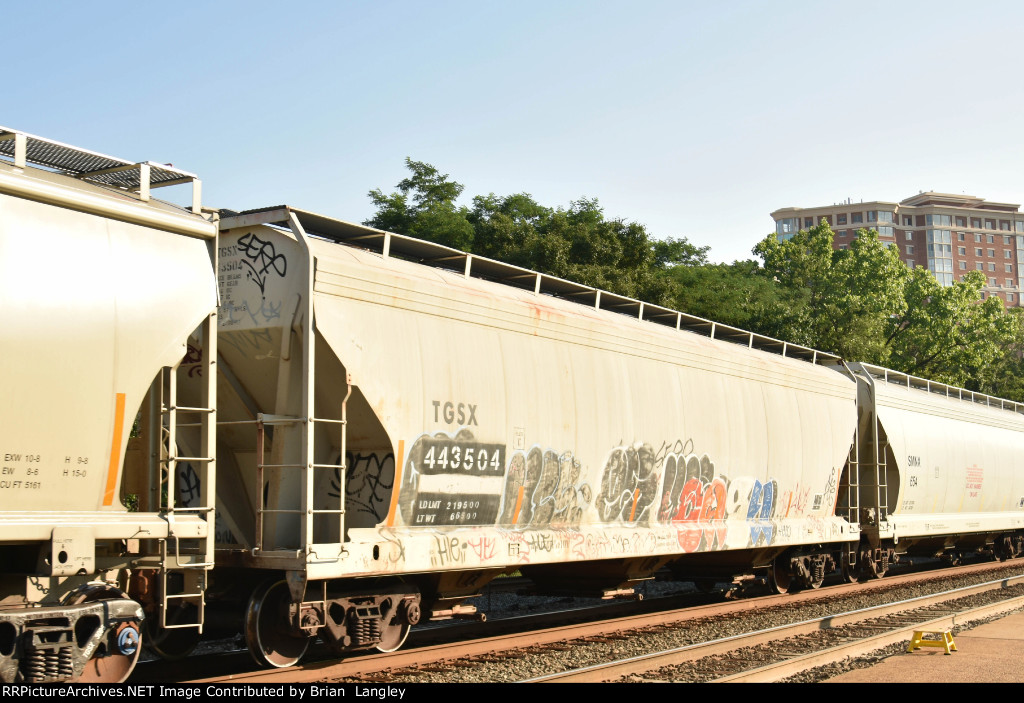 443504